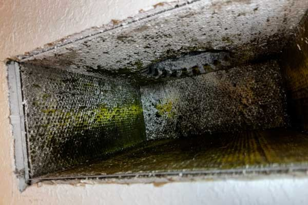 Dee8bdc37b85372348da85dc82367b4cc883c70d 1772644382297