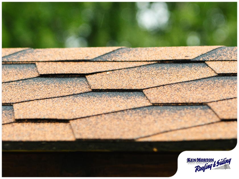 4 Common Myths About Your Asphalt Shingles