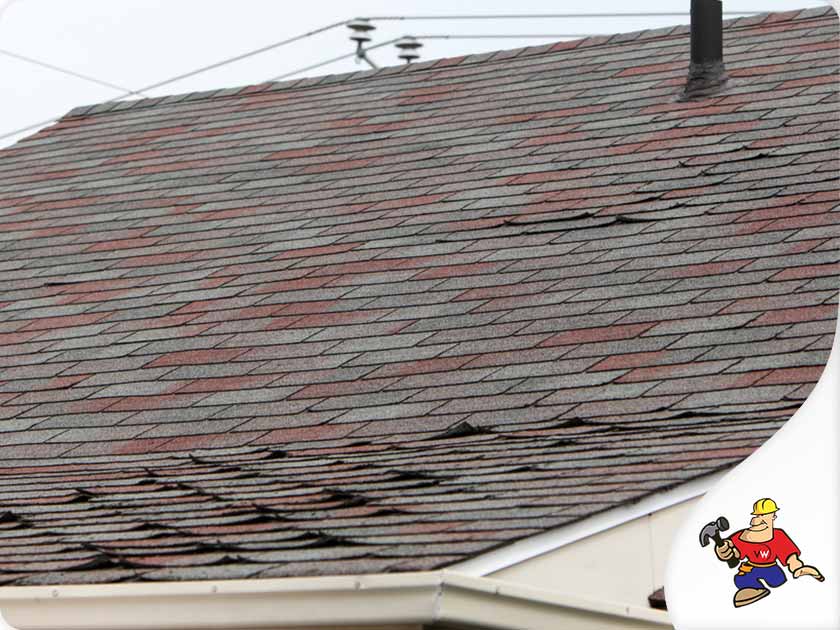 Normal Wear and Tear vs. Real Roof Damage