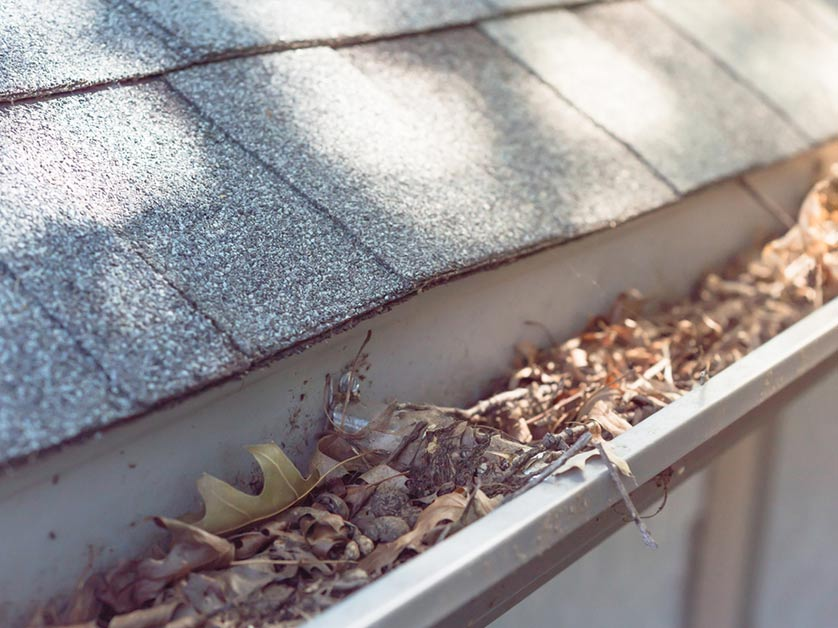 Ways Your Gutter System Affects Your Roof