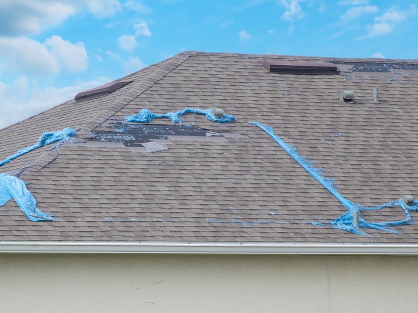 Roof Replacement