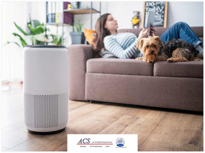 Can an Air Purifier Give Relief to Your Fall Allergies?