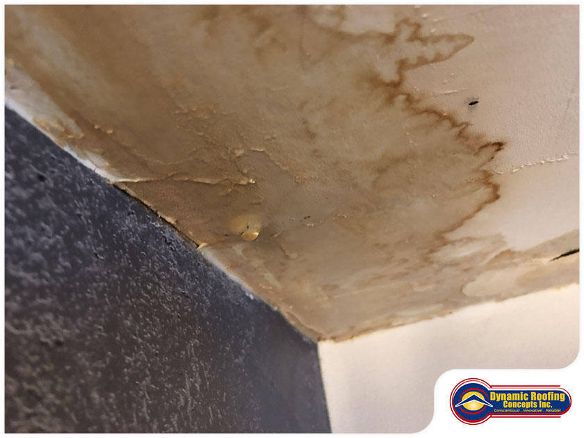 Humidity Can Impact Your Roof
