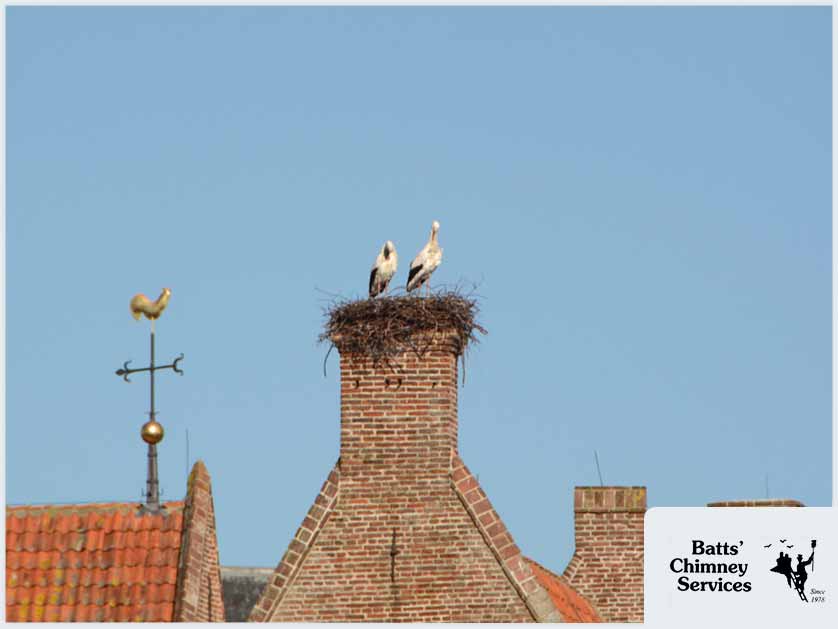 Chimney Damage